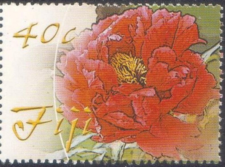 Red Peony