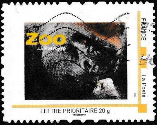 Gorilla Palmyre Zoo