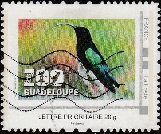 Humming Bird Zoo Guadeloupe