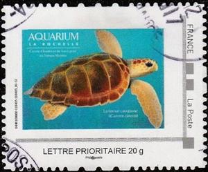 Stamp, La Rochelle Aquarium loggerhead sea turtle (Caretta caretta), France,  , Animals (Fauna), Reptiles, Sea Life, Turtles