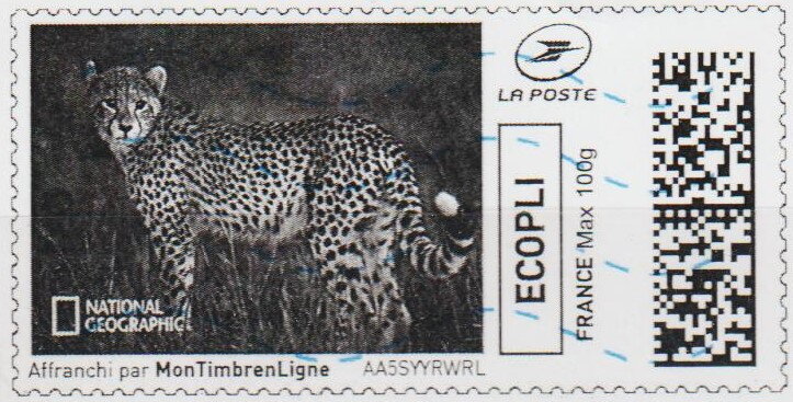 Leopard 2 in black