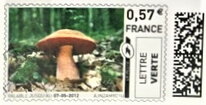 Orange Toadstool