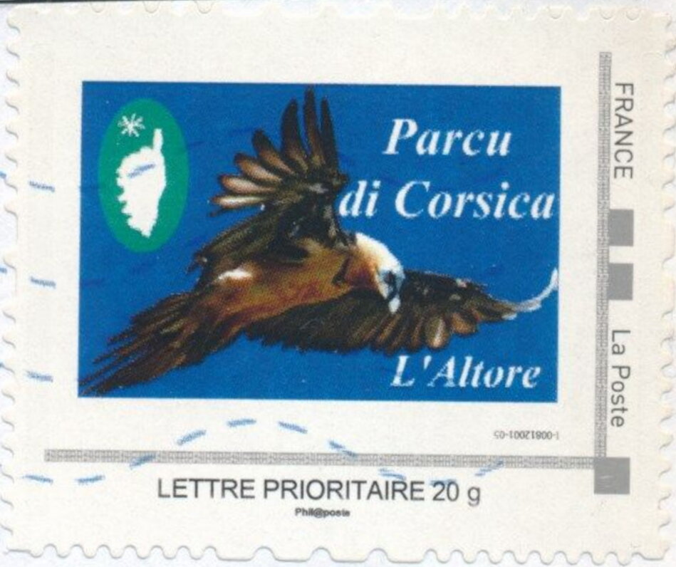 Parcu di Corsica. Altore, Bearded Vulture (Gypaète barbu)