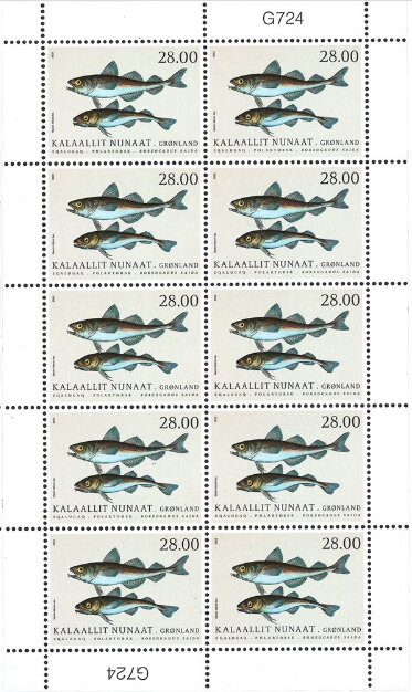 Arctic Cod (Boreogadus saida)KB