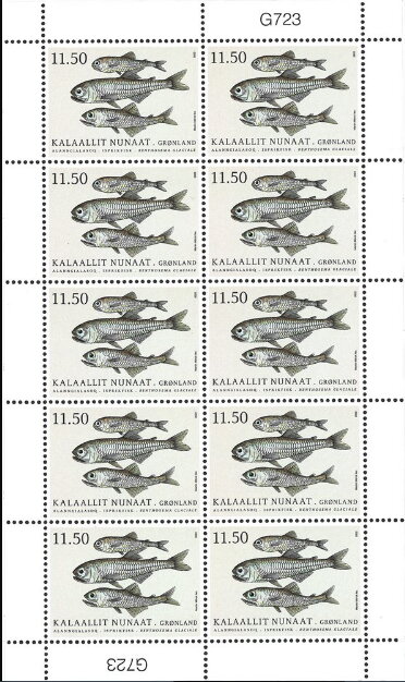 Glacier Lantern Fish (Benthosema glaciale)KB