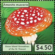 Amanita muscaria