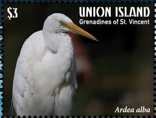 Ardea alba