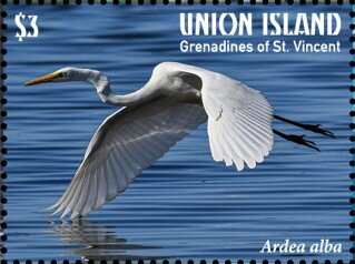 Ardea alba