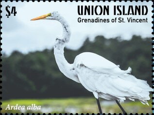 Ardea alba