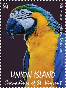 Blue-and-yellow Macaw