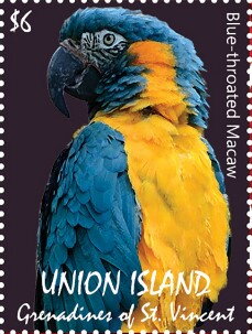 Blue-throated Macaw