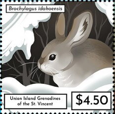 Brachylagus idahoensis