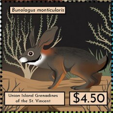 Bunolagus monticularis