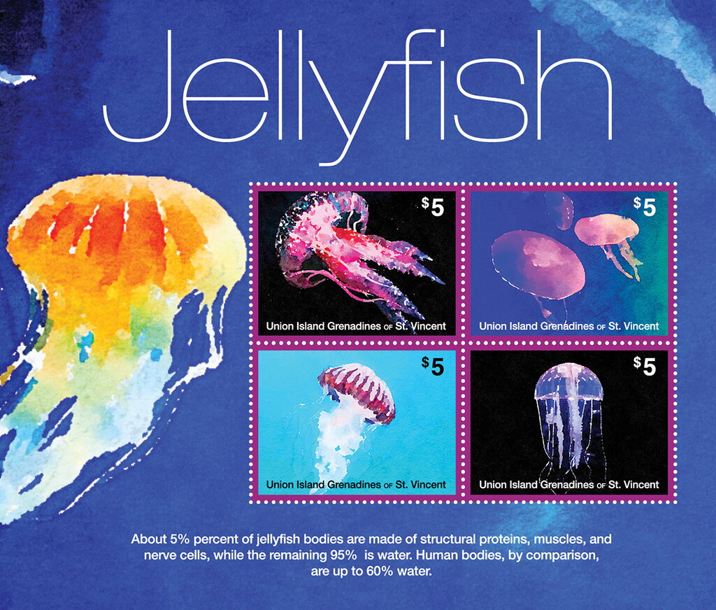 Fellyfish
