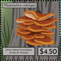 Stamp, Flammunila velutipes, Grenadines of St. Vincent, Union Island,  , Mushrooms, Plants (Flora)