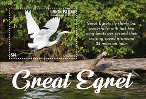 Souvenir Sheet, Great Egret, Grenadines of St. Vincent, Union Island,  , Animals (Fauna), Birds