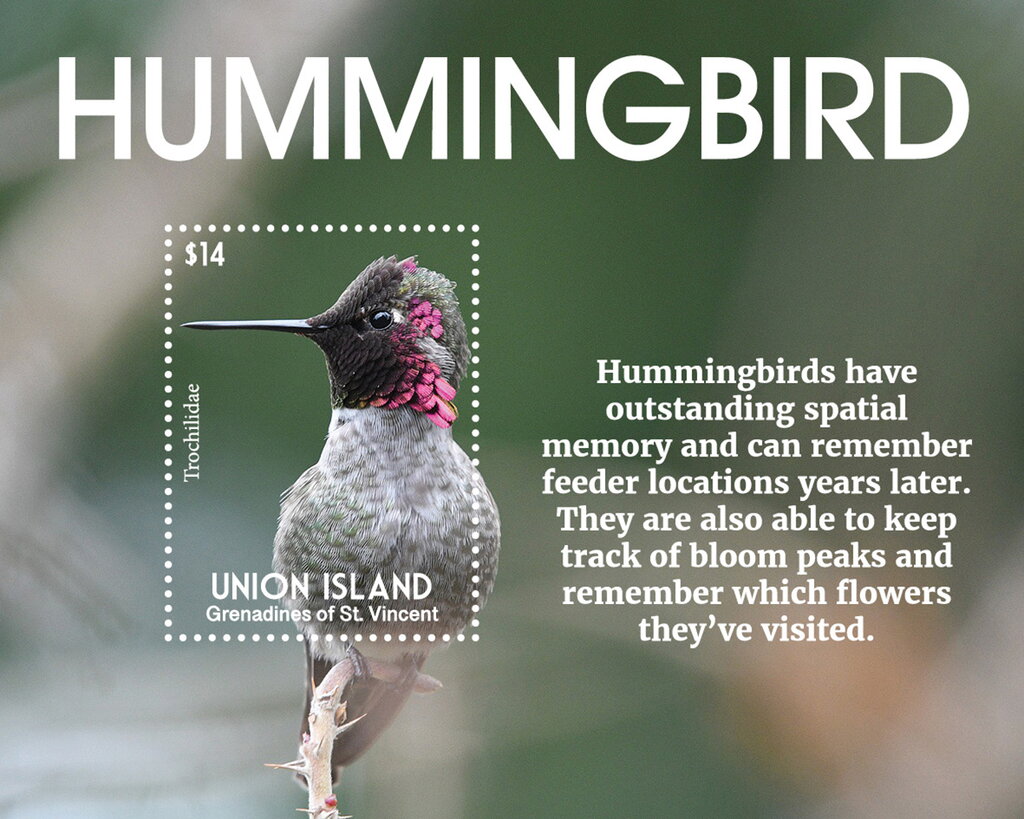 Hummingbird