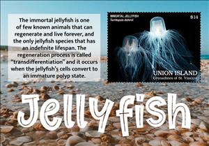 Souvenir Sheet, Jellyfish, Grenadines of St. Vincent, Union Island,  , Animals (Fauna), Jellyfish, Sea Life