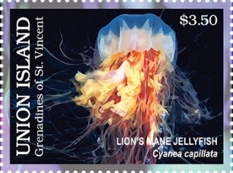 Lion's Mane Jellyfish (Cyanea capillata)
