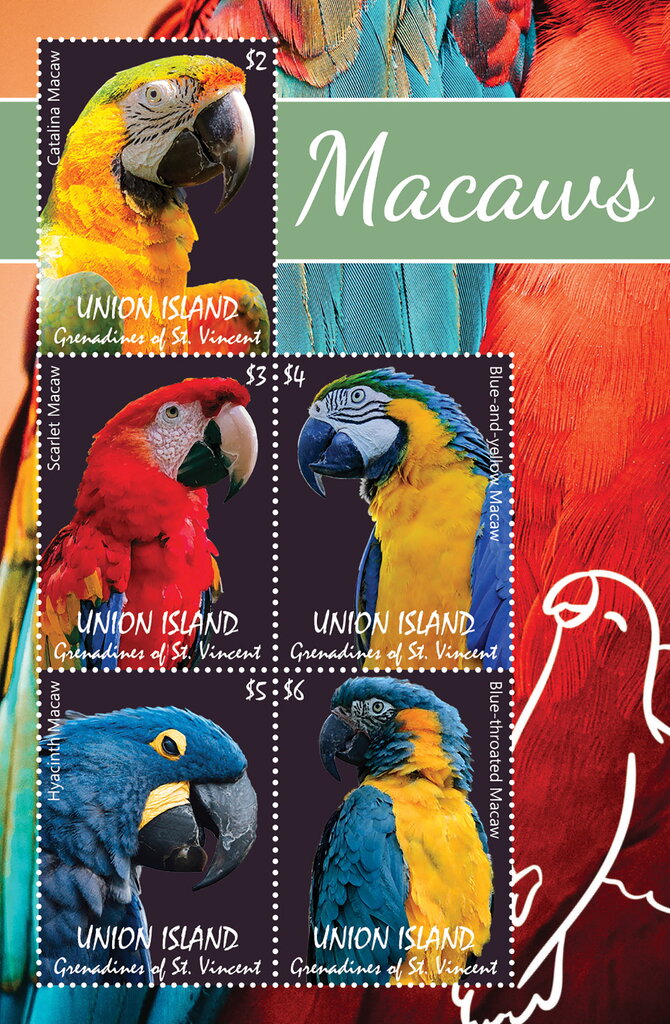 Macaws