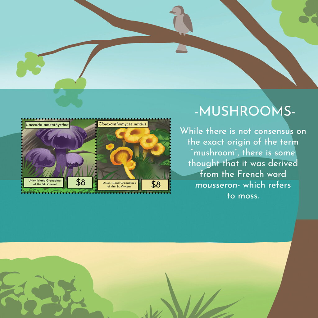 Mushrooms