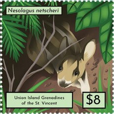 Nesolagus netscheri