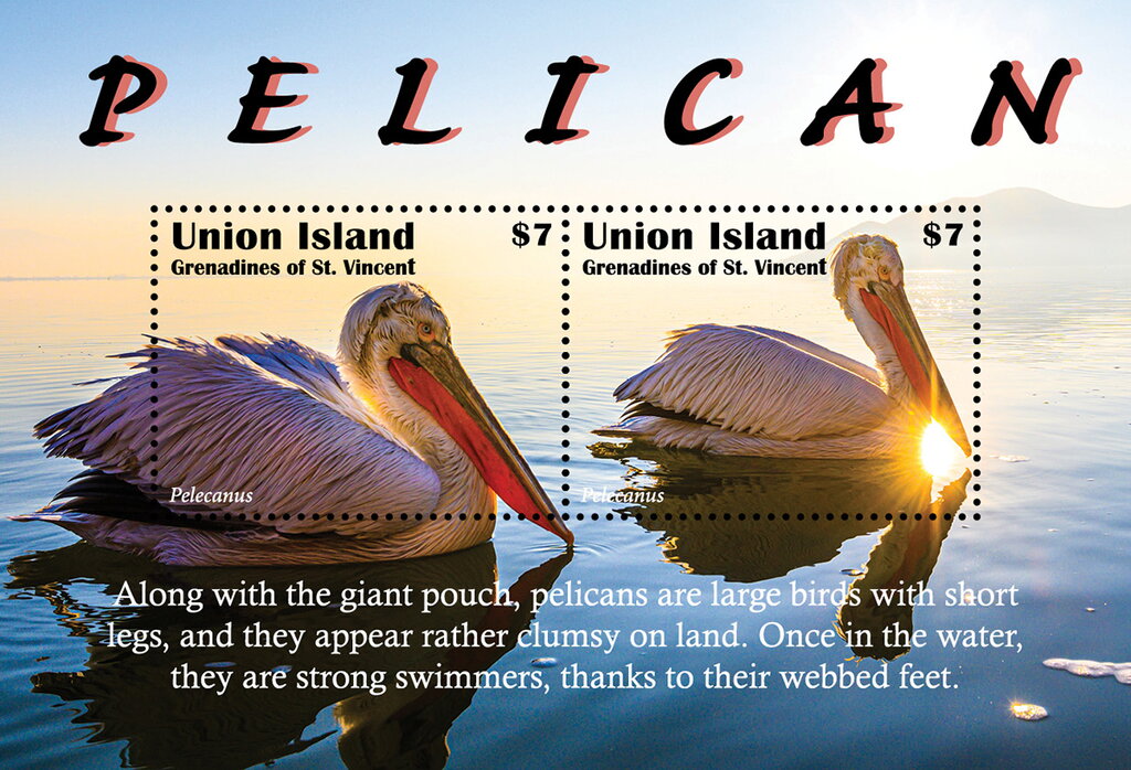 Pelican