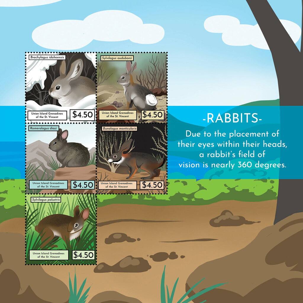Rabbits