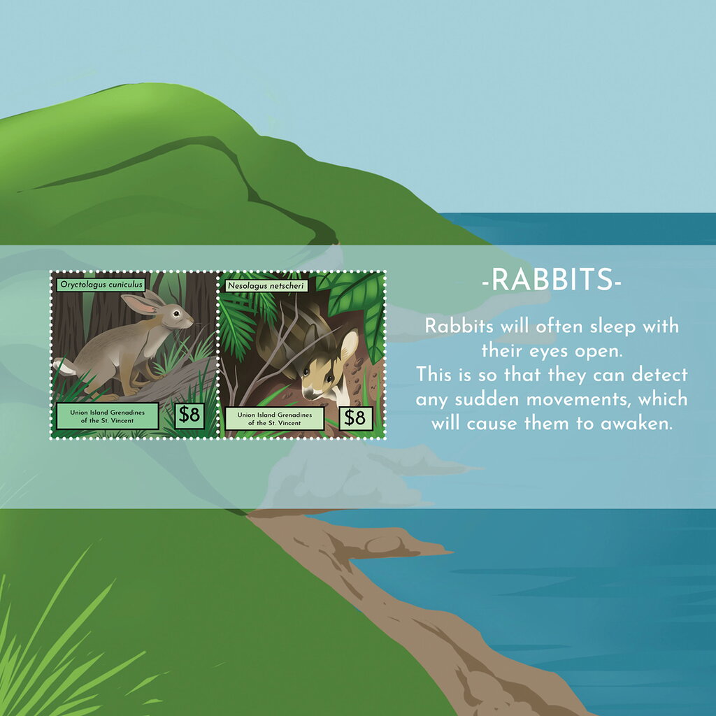 Rabbits