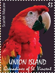 Scarlet Macaw
