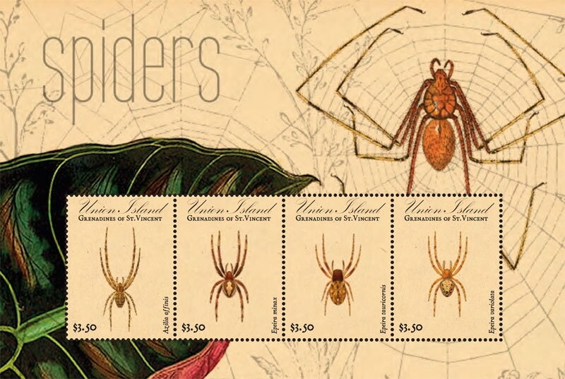 Spiders