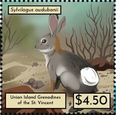 Sylvilagus audubonii