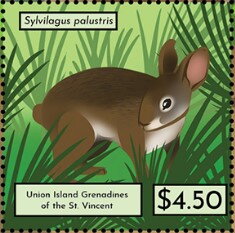 Sylvilagus palustris