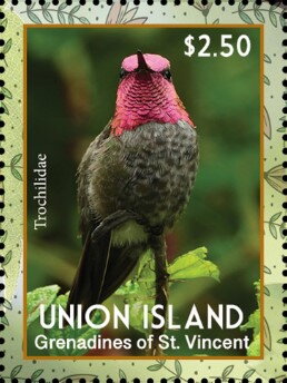 Trochilidae