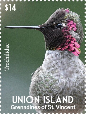 Trochilidae