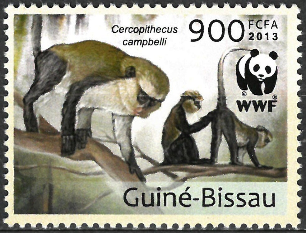 WWF - Cercophitecus campbelli