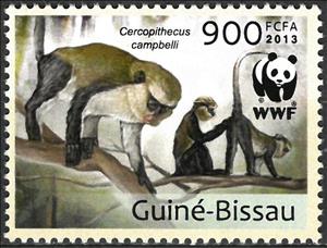 Stamp, WWF - Cercophitecus campbelli, Guinea-Bissau,  , Animals (Fauna), Mammals, Monkeys, WWF