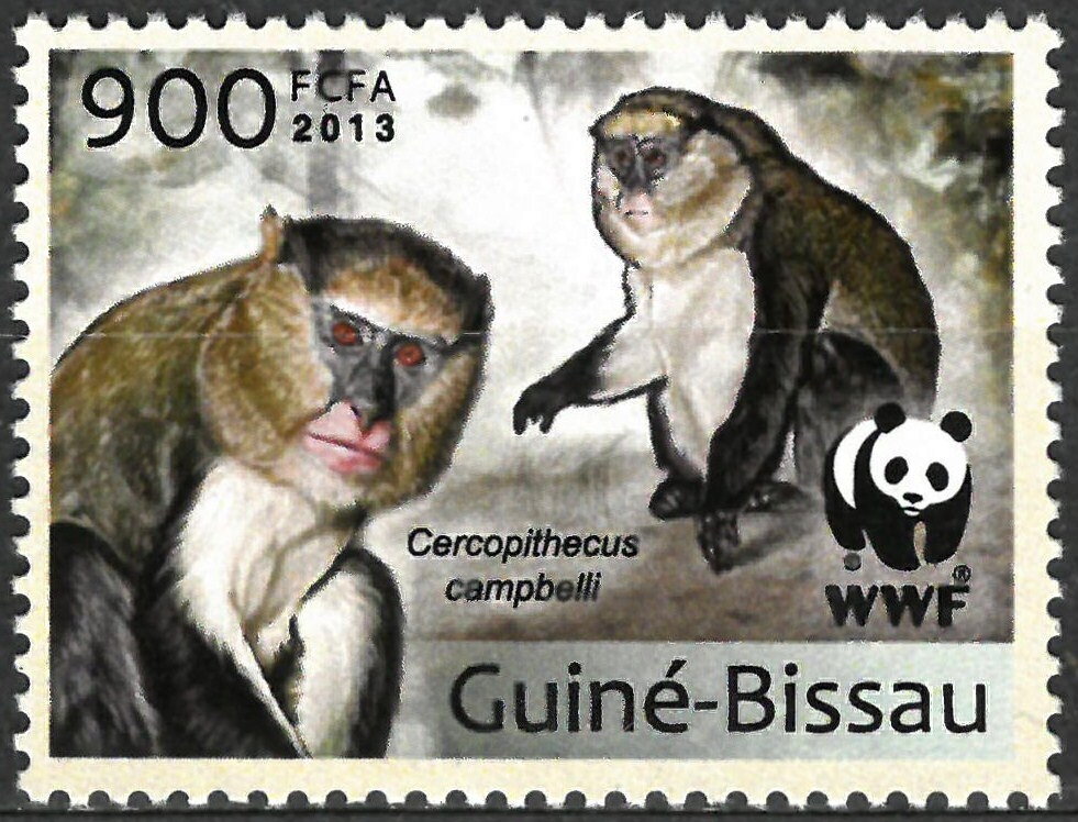 WWF - Cercophitecus campbelli