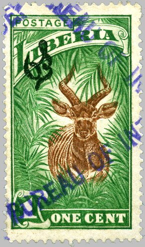Bongo (Tragelaphus eurycerus)