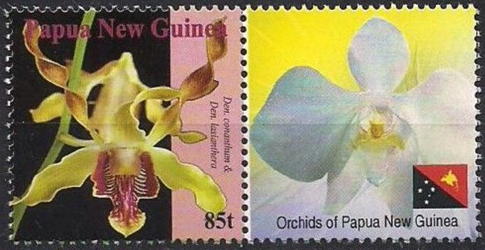 Den. conanthum and Den. lasianthera