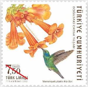 Stamp, Hummingbird and Flower, Turkey,  , Animals (Fauna), Birds, Flowers, Hummingbirds, Plants (Flora)