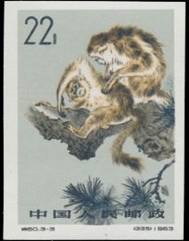 Golden Snub-nosed Monkey (Rhinopithecus roxellana)