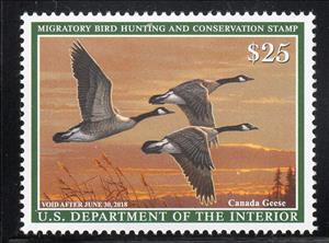 Stamp, Canada Geese, United States of America,  , Animals (Fauna), Birds, Ducks, Hunting