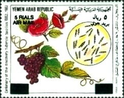 Bunch of grapes and flowers