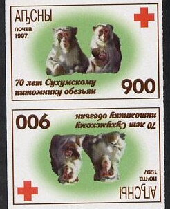 Two monkeys, emblem of the Red Cross