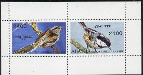 Birds