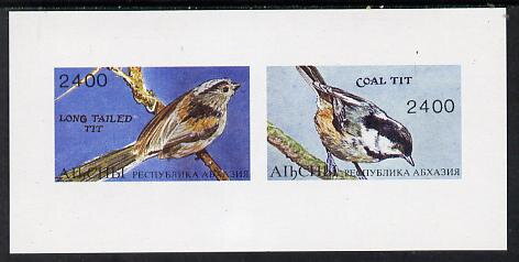 Birds