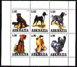 Dogs