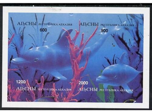 Dolphin