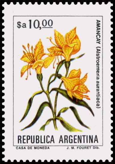 Amancay (Alstroemeria aurantiaca)